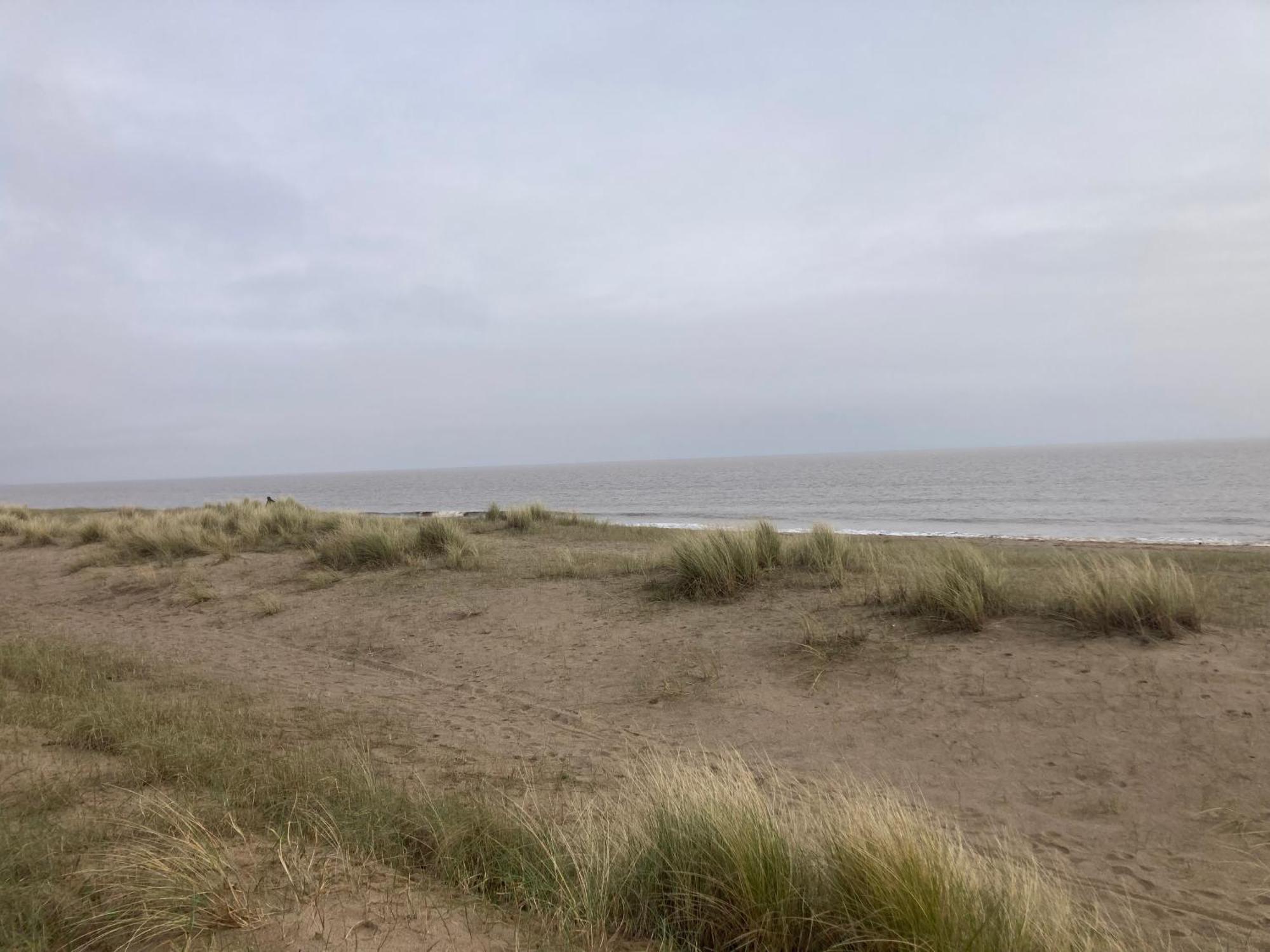 Pet Friendly Holiday Home On Golden Palm Skegness Eksteriør billede